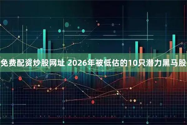 免费配资炒股网址 2026年被低估的10只潜力黑马股