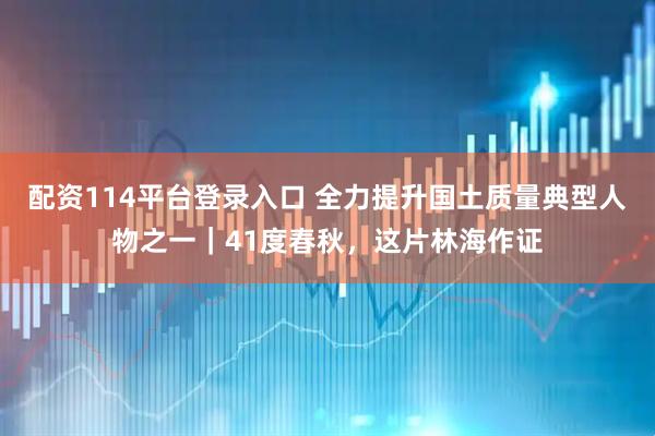 配资114平台登录入口 全力提升国土质量典型人物之一｜41度春秋，这片林海作证